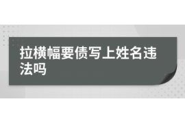 惠州惠州的要账公司在催收过程中的策略和技巧有哪些？